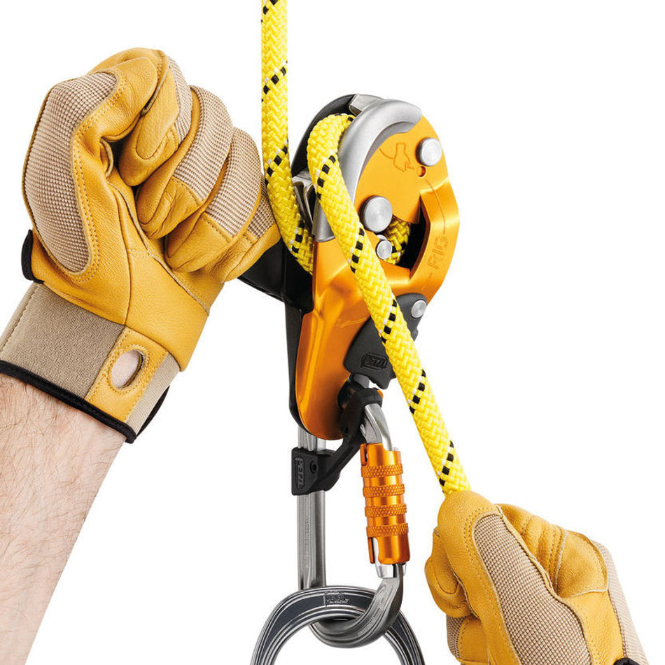 Petzl Rig Self Braking Descender