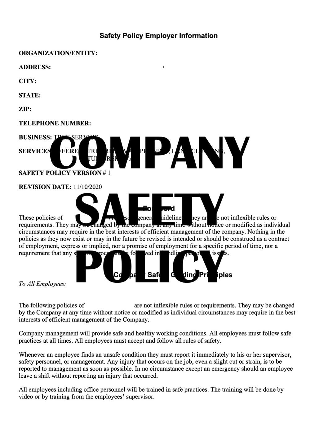 COMPANY SAFETY POLICY