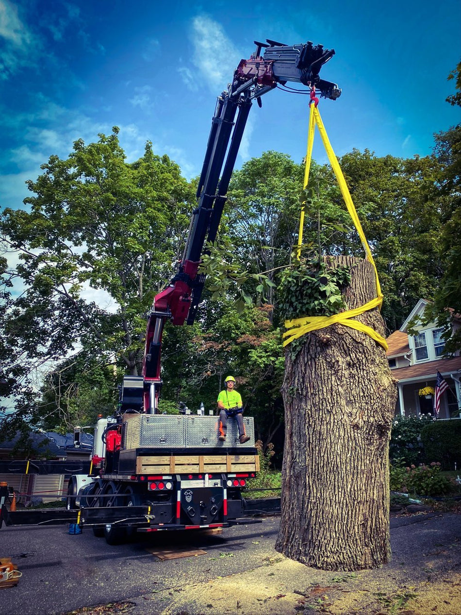 Endless Round Slings