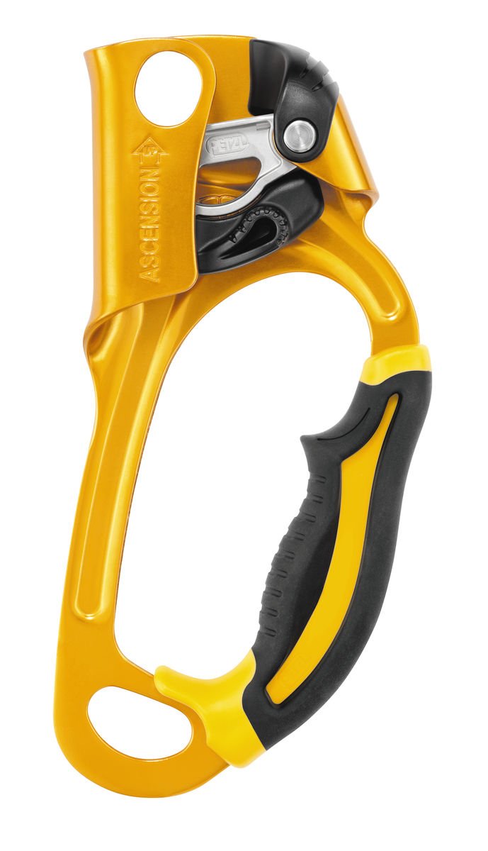 Petzl ASCENSION